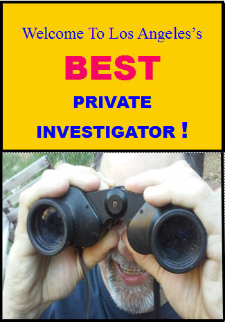 Van Nuys Private Investigator